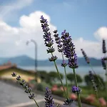 Apartman Iseolakerental - Surre